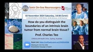 İON 478. Lecture Teo: How do you distinguish the boundaries of an intrinsic brain tumor from normal