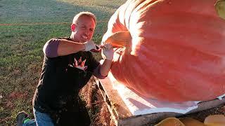 HUGE GIANT PUMPKIN: How Thick is It Exactly?