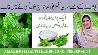 BENEFITS OF PEPPERMINT | AMAZING HOME REMEDIES OF PEPPERMINT | TYPE OF MINT LEAF BY DR. BILQUIS