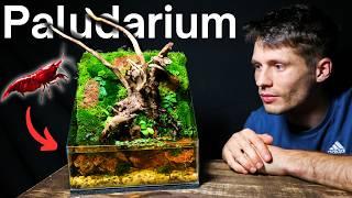 I Made a Flowing Moss Wall Paludarium For Cherry Shrimp, Here’s How!