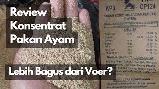 Pilih Konsentrat Ayam atau Voer? Mana Paling Baik