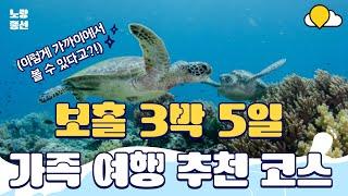 노랑풍선 보홀 3박5일 패키지여행 가족여행 추천 돌고래 고래상어 바다거북이