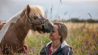 PFERDE als Partner: THERAPIE mit Pferden bei psychischen Störungen