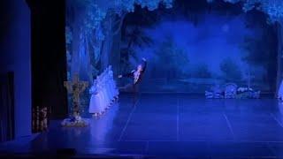 Балет Жизель. Вариация Альберта - Денис Тарасов. Ballet Giselle. Albrecht variation - Denis Tarasov