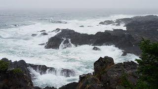 Sonido de Lluvia y Olas del Mar para Dormir y Relajarse - Meditación