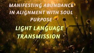 Manifesting ABUNDANCE in alignment with SOUL PURPOSE - LIGHT LANGUAGE TRANSMISSION 