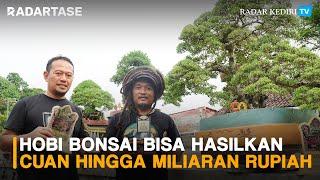 Penghobi Bonsai yang Bisa Hasilkan Cuan hingga Miliaran Rupiah