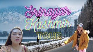 India Vlog #19: Exploring Srinagar Kashmir, India (Is it worth it?) A kid punched me in my arm