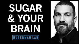 Controlling Sugar Cravings & Metabolism with Science-Based Tools | Huberman Lab Podcast #64