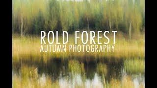 (2-2) ROLD FOREST - First Autumn Photoshoot
