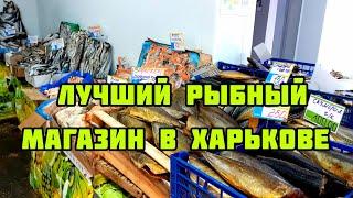 Харьков сегодня. Где купить самую вкусную рыбу. 12.02.2024.