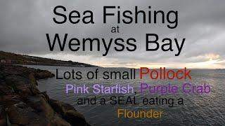 Sea Fishing Scotland - Firth of Clyde - Wemyss Bay