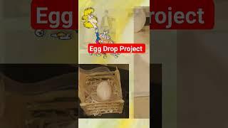 Egg Drop Project #physicsfun #math