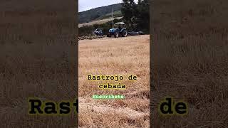 Tractor agrícola con grada aradora en rastrojo de cebada