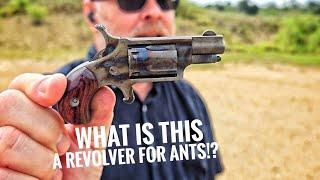 What Is This, a Revolver For ANTS?