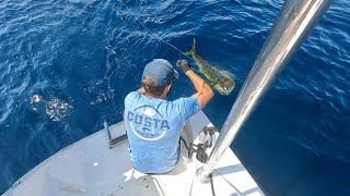 How to Rig Ballyhoo - Trolling for Mahi, Wahoo, and Tuna