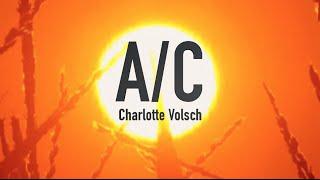 Air Conditioning Upkeep with The Volsch Team