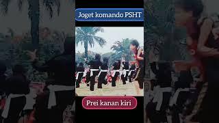 Srikandi joget komando psht #pencaksilat #shterate #psht #punjermadiun #teratesports