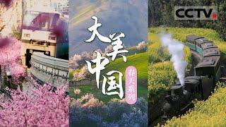 从春季美景到云海奇观 从千亩樱花到百里杜鹃 从昆仑润雪到巴蜀田乡…… 游历春天里的中国《大美中国·春天系列》【CCTV纪录】