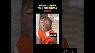 Когда День Святого Валентина, а ты все еще со старым СПИННИНГОМ!!!  #рыбалка #спиннинг #рыбак