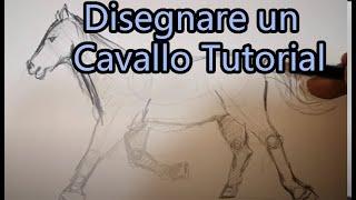 Come disegnare un cavallo Tutorial