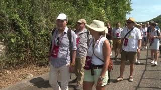 Das Wy-Erläbnis - in Buus, Maisprach und Wintersingen