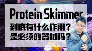 Protein Skimmer（蛋白质分离器/蛋分）是必须的吗   |  【小马说水族】