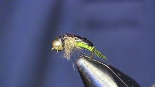 Czech Style Heavy Nymph, Holsinger's Fly Shop