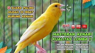 Kenari GACOR‼️ Masteran Burung Kenari PAUD dan Pancingan Kenari MACET BUNYI (EPISODE  1553)