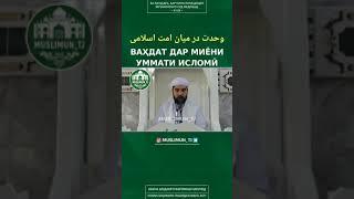 Ваҳдат дар миёни умматои ислом