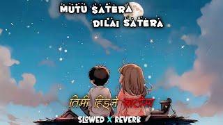 Lagla Najar Bairiko | Mutu Satera - Slowed & Reverb | तिमी हिड्ने बाटोमा | New Tamang Selo - Lo-Fi