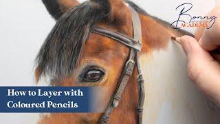 How to Layer with Coloured Pencils | Coloured Pencil Techniques