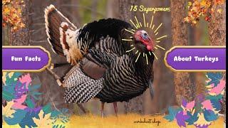  15 Fun Facts About Wild Turkeys For Kids | Turkey Trivia Quiz | Thanksgiving Trivia Quiz 2024