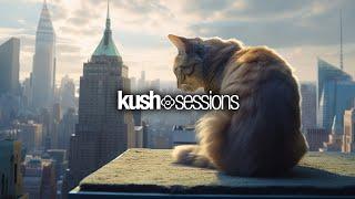 #242 KushSessions (Liquid Drum & Bass Mix)