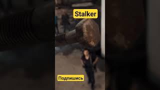 Это ли смерть Потерянный сектор STALKER аудиокнига Александра Родина