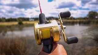 Fishing for European Carp Using an OVERPOWERED Baitcaster Reel!