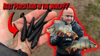 BIG River Perch LOVE Destroying This Lure!!