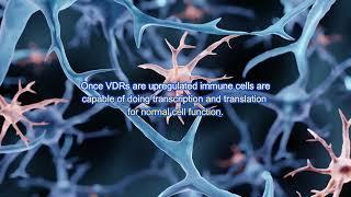 Restoring Microbiome Immune Function in Autism Spectrum Disorder using VDR BIF Method