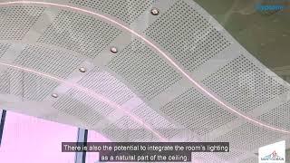 Acoustic Gypsum Ceilings - When Form And Function Work Together