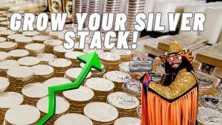 This is How You Can GROW Your Silver Bullion Stack. #silver #silverbullion