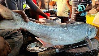 Giant Rawas Fish Cutting & Chopping By Expert Fish Cutter | Fish Cutting Skills