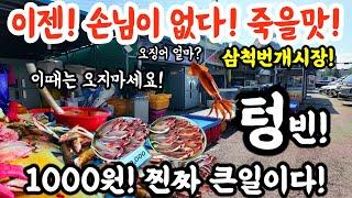 삼척번개시장! 1000원! 이젠 진짜 손님이 없다! 죽을 맛! 텅빈! 진짜 진짜 큰일이다! 이땐 오지마세요! #시장 #폭락 #오징어 #food #수산물 #휴가 #속초 #삼척