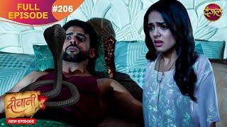 Deewani | New Full Episode 206 HD | 12 Nov 2024 | #NewEpisode | Dangal TV