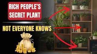 90% of Wealthy People Own This Plant — And It’s Not by Accident!