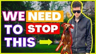 How To Stop A Reactive Dog For Good - The Dog Daddy