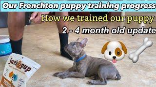 How we trained our Frenchton puppy