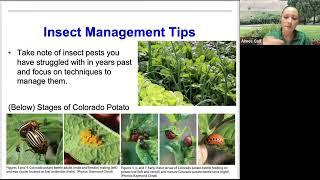 Organic Gardening Tips