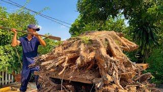 Amazing Giant Tree Woodworking Project You've Never Seen // Strange Table Product Finished!