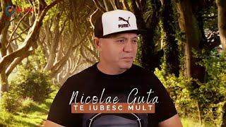 Nicolae Guta - Te iubesc mult [Video Oficial]