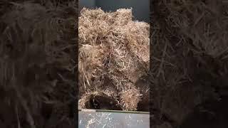 Total ration cattle and sheep preparation machine; TMR total ration feed mixing and blending machine